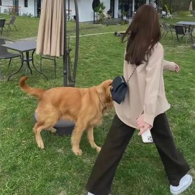 玉贞姐姐