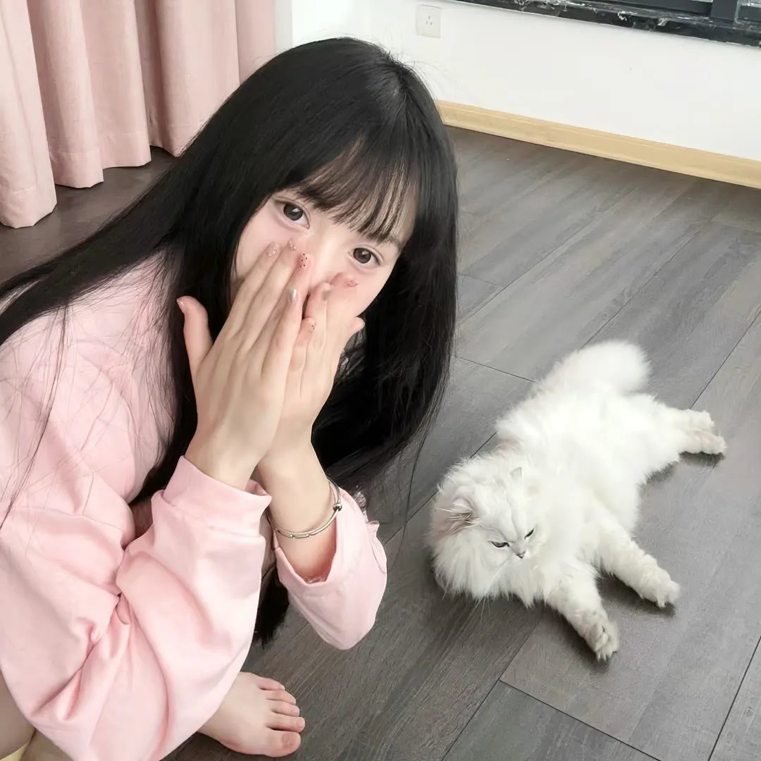 明珠游龙