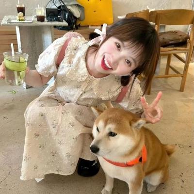 歌舞飞扬